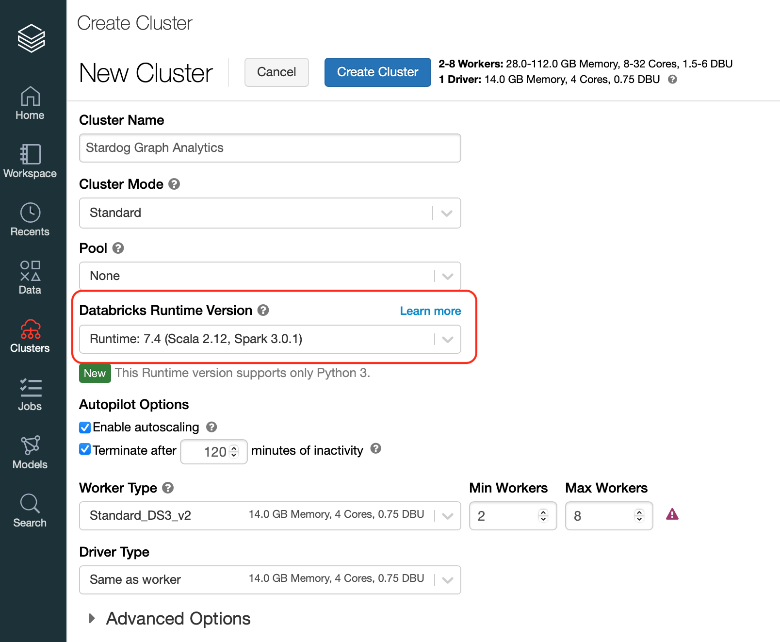 Cluster runtime